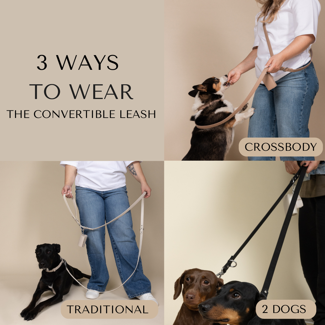 Photo collage of three photos showing how to wear a leash as a crossbody, traditional leash or to walk two dogs