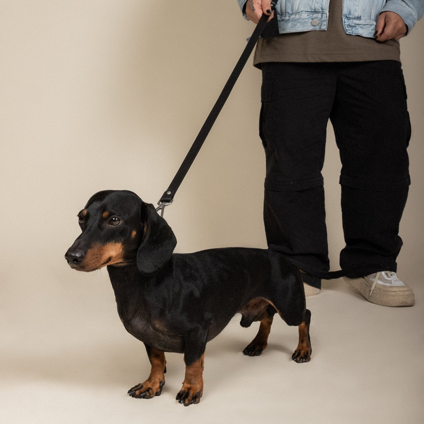 THE CONVERTIBLE LEASH